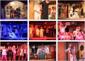 Tofterydsrevyn 2014 - Tofterydsbygden